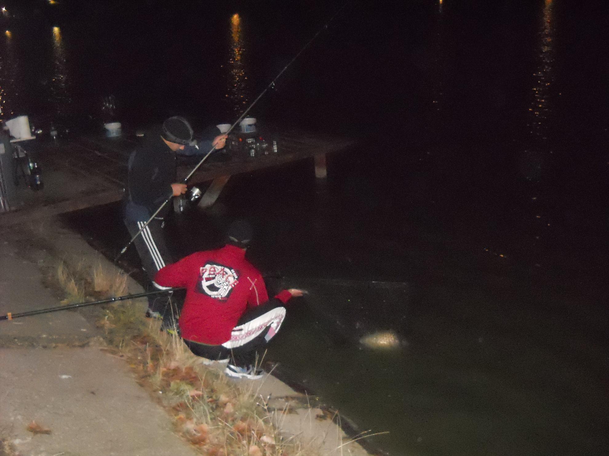 Pleasa 2012 - dscn1029.JPG